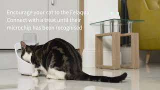 Felaqua™ Connect  How to assign and register your cat
