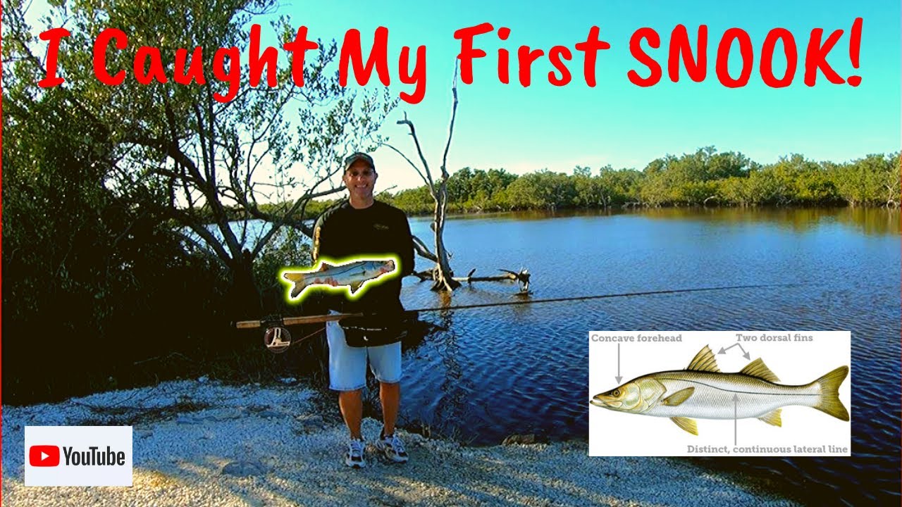 Mosquito Lagoon Fly Fishing Florida Part 1 YouTube