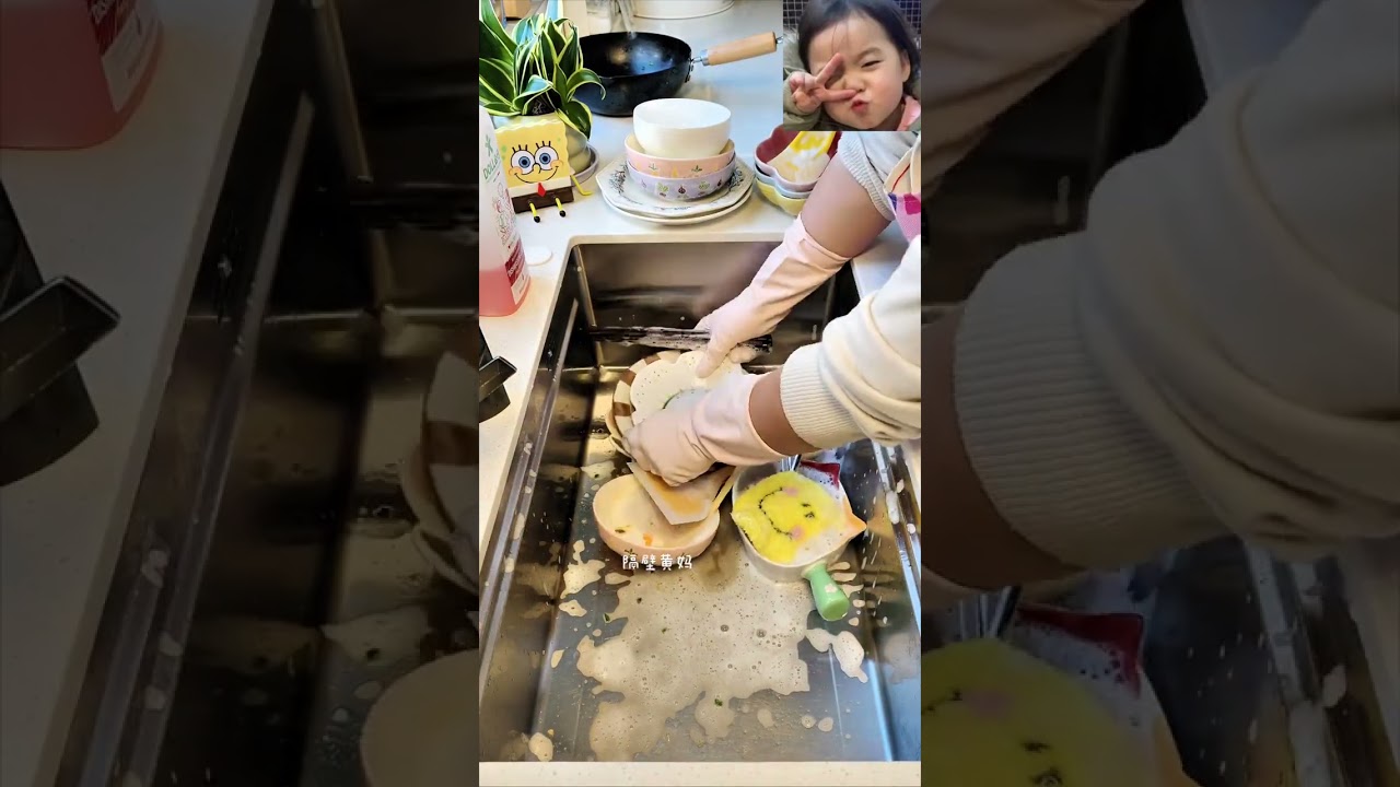 Caught on Camera: The Dine-and-Dash Dish Dodger! DishDodge