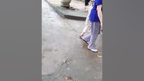 Hồ núi cốc thái nguyên.  Vườn động vật hoang dã.