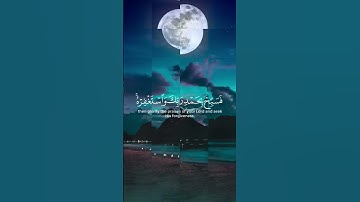 الشيخ سعد الغامدي ( سورة النصر )