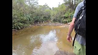 Auckland Tramping Club - Wires Track, Coromandel