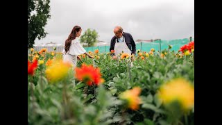 A Decade in Bloom | Journey of The Bloom