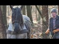 Bosbouw met paard en moderne machine