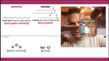 Intro to Liquid-Liquid Extraction