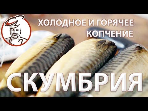 СКУМБРИЯ - холодное или горячее копчение?