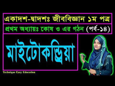 ভিডিও: ব্যাকটেরিয়াকে প্রোক্যারিওটিক কোষ বলা হয় কেন?