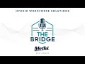 The Bridge Podcast - Zac Grant MetTel