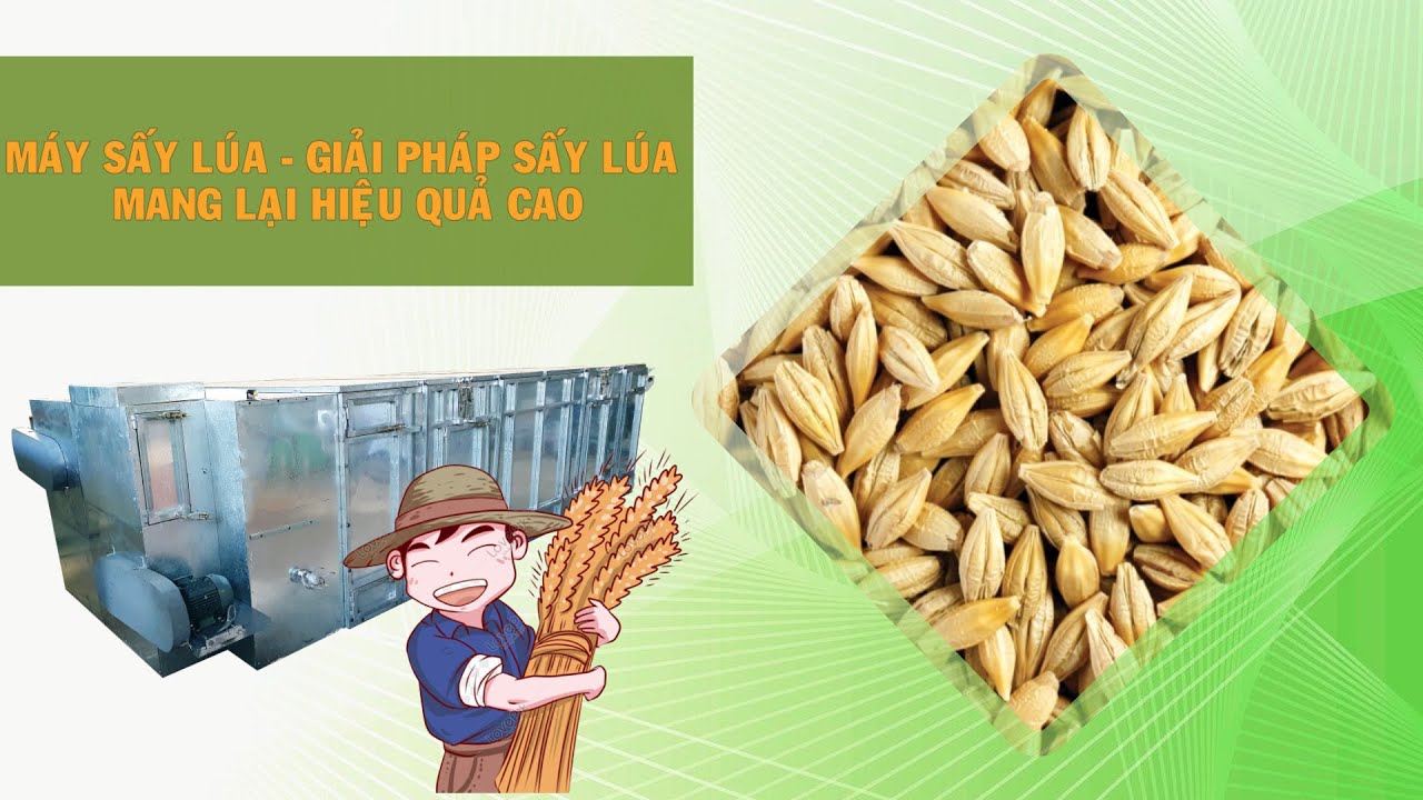 Máy sấy lúa - Giải pháp sấy lúa mang lại hiệu quả cao cho người nông ...