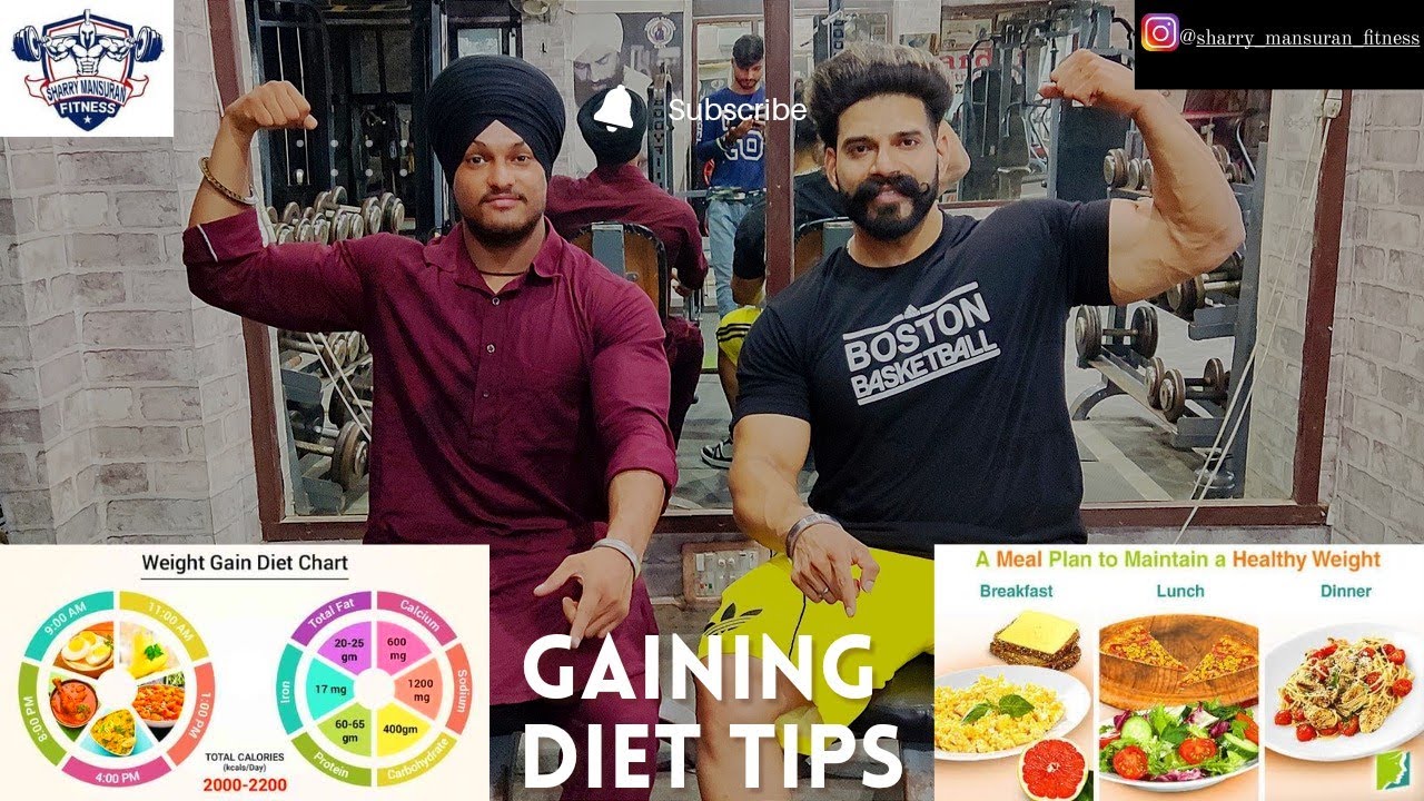 Weight Gaining Diet Plan and Tips My Full Day Diet Plan Sharry