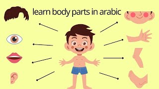 Bagian tubuh dalam bahasa Arab