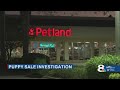 Bradenton pet store among 18 in Florida that bought from breeders investigated by Humane Society, ag