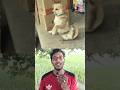 দেখার মত ফানি দৃশ্য🐕🤣 #dog #animals #pets #viral #funny #shorts #amazing #youtubeshorts