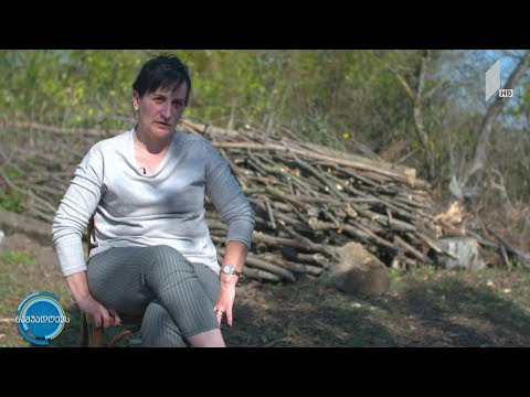 #ნაშუადღევს ქალების ქისა - მეფუტკრეობა ოკუპირებული ტერიტორიის საზღვრისპირა სოფელში