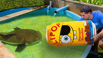 I Caught The Pond Monster in A SpongeBob Fish Trap…