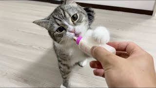 哺乳瓶でミルクをがぶ飲みしちゃう猫がこちら笑