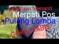 Keseruan Menanti merpati Pos Pulang Lomba || Gokil Habis