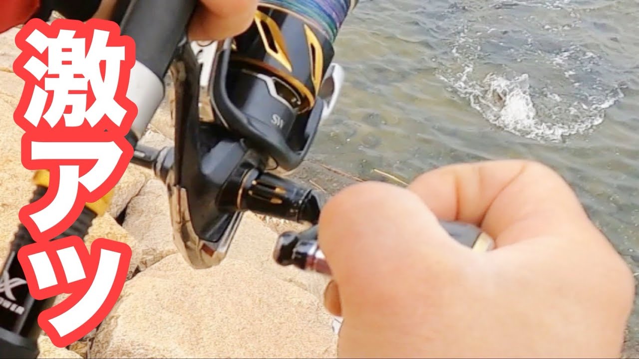 【釣り納め】に行ったら奇跡が！こんなに釣れていいのか？最高の釣り納めになりました【ショアジギング/飲ませ釣り】