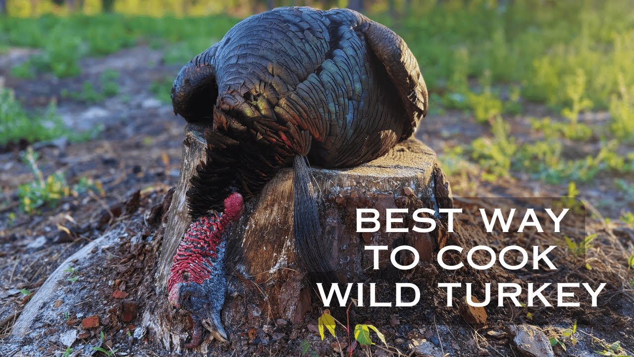 From Field to Fryer: SOUTHERN FRIED WILD TURKEY