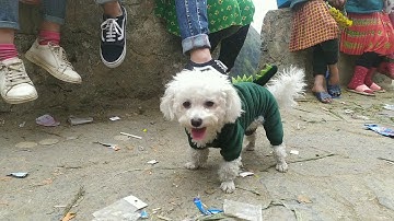 Tour Hà Giang:Km số 0-Dốc Thẩm Mã-Cột cờ Lũng Cú Tập 2