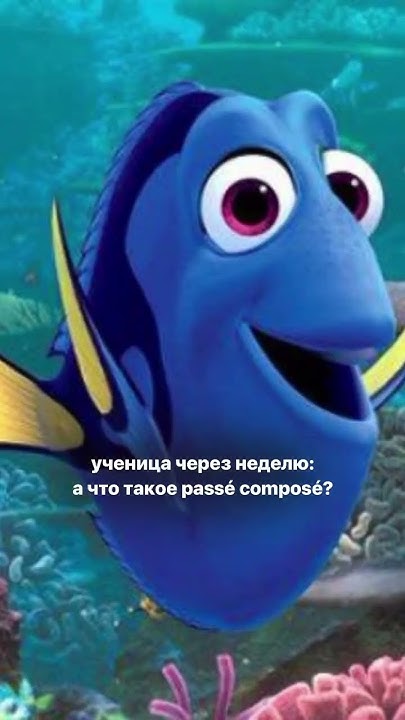 #французский #французскийязык #рек #франция #изучениеязыков - YouTube