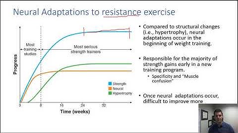 Hypertrophy vs Neural Adaptations