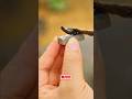 Satisfying Miniature Concrete Slab Construction 🧱 #diycrafts #shorts