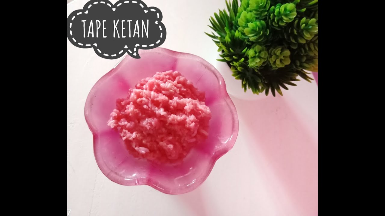 Membuat Tape ketan 