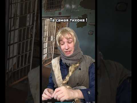 Тихоня