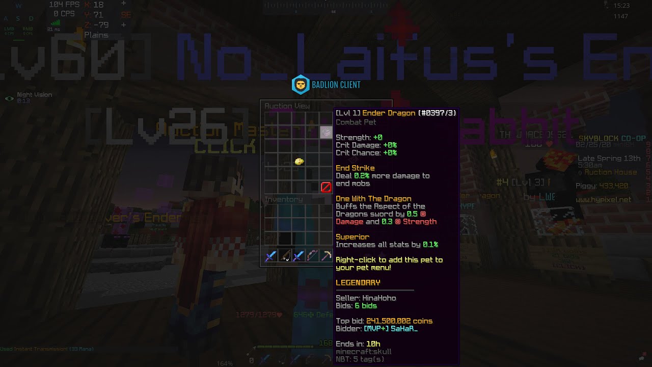 the hypixel skyblock pet update in a nutshell [rant] YouTube