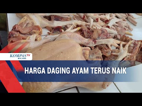 Harga Daging Ayam Cincang 1 Kg