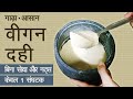 सफ़ेद चने की दही | आसान गाढ़ा वीगन दही | प्रोटीन में उच्च | केवल 1 सामग्री  Vegan Dahi Hindi