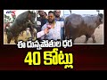    40   sadar festival in hyderabad 2022  tv5 news digital