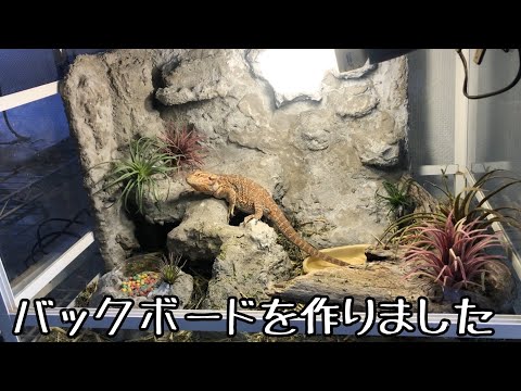 爬虫類バックボード 爬虫類ケージのバックボードを作りました【後半】 - YouTube