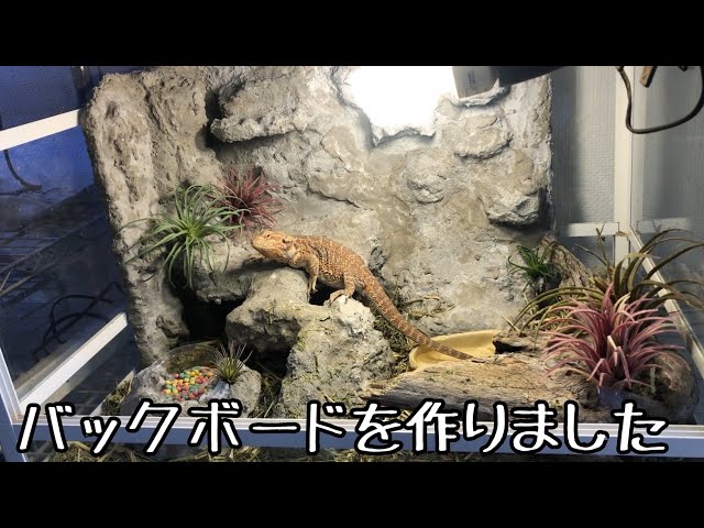 爬虫類　レイアウト　バックボード　グラスハーモニー 爬虫類レイアウトバックボードグラスハーモニー
