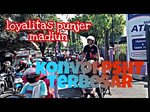 KONVOI PSHT  TERBESAR DI KOTA MADIUN  LOYALITAS PUNJER 