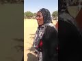 حبسة الشالي 1 