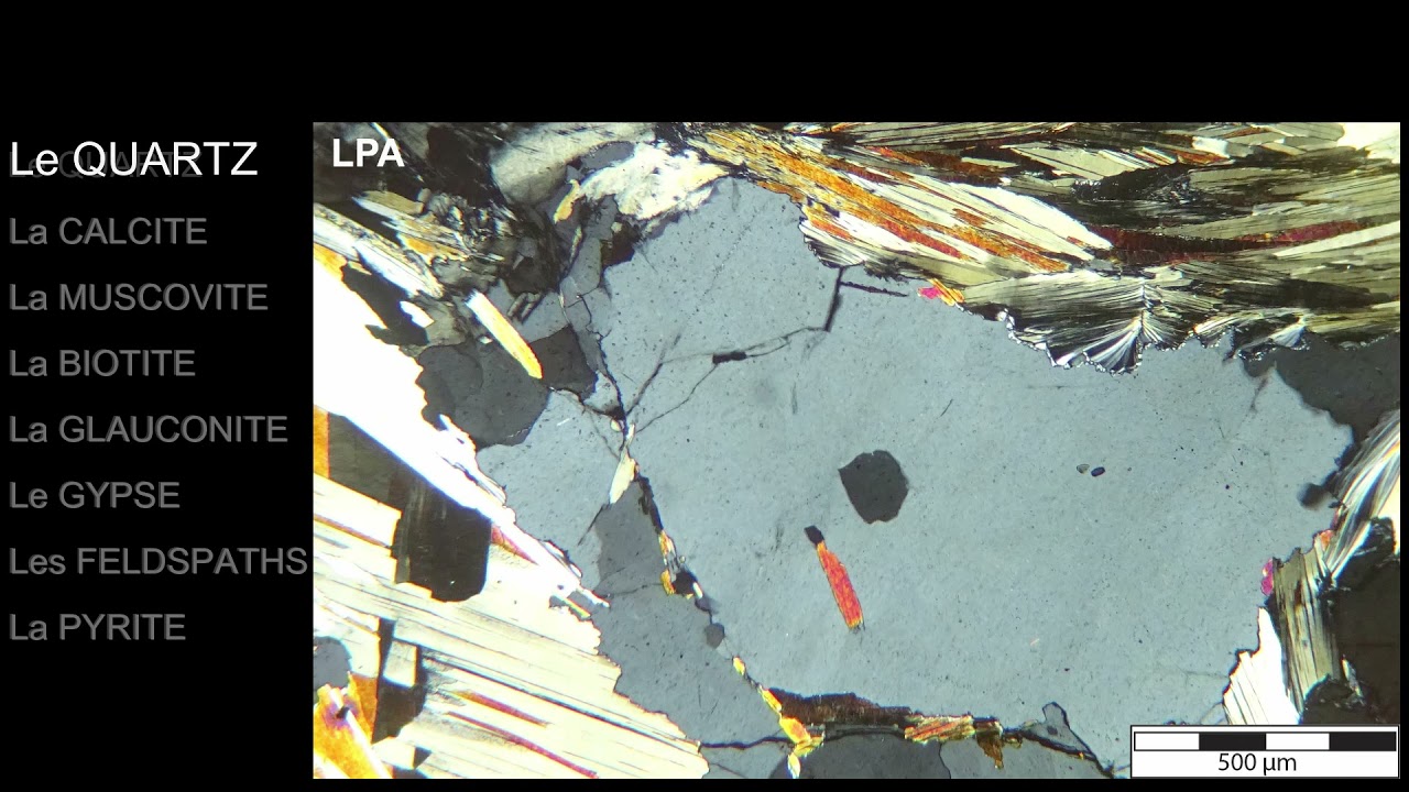 Minéraux des roches sédimentaires en microscopie : calcite, quartz ... (par Mme Ruault-Djerrab)