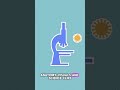How I Make Biology Animations Look Cinematic 😳#biology #shorts #ytshorts #edit