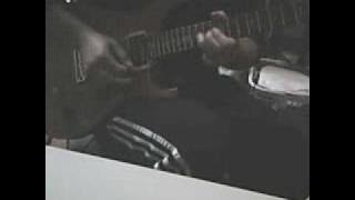 SKYWINGS【IN BLOOM】Guitar-Cover