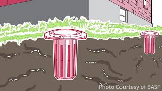 Termite Control with Maximum Pest Management