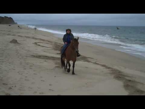 Horseback Riding Half Moon Bay California