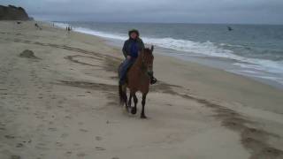 Horseback Riding Half Moon Bay California