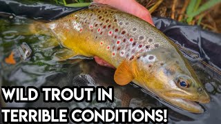 Early Season Dry Fly Fishing - UK River Fly Fishing - The River Dove