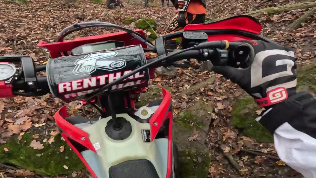 kinlódás, rózsai, Rieju mr 300i