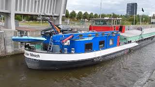 1 Keer In De Tien Jaar Dit Paradepaardje Eindelijk Vastgelegd -