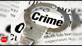 Indian national pleads guilty to role in malware protection scam in US  India News  Times of India 2