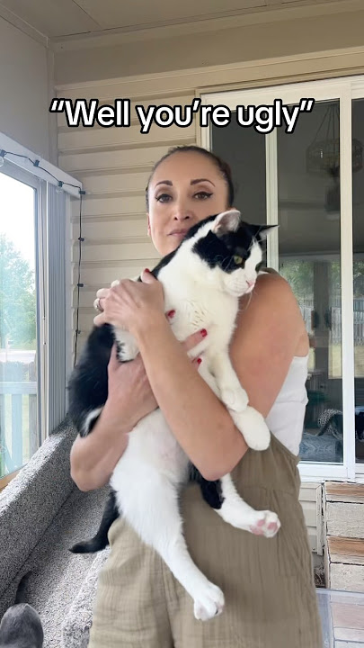 Download lagu Watch it. π€ #cats #catsoftiktok #charliebear #chonky #fatcat