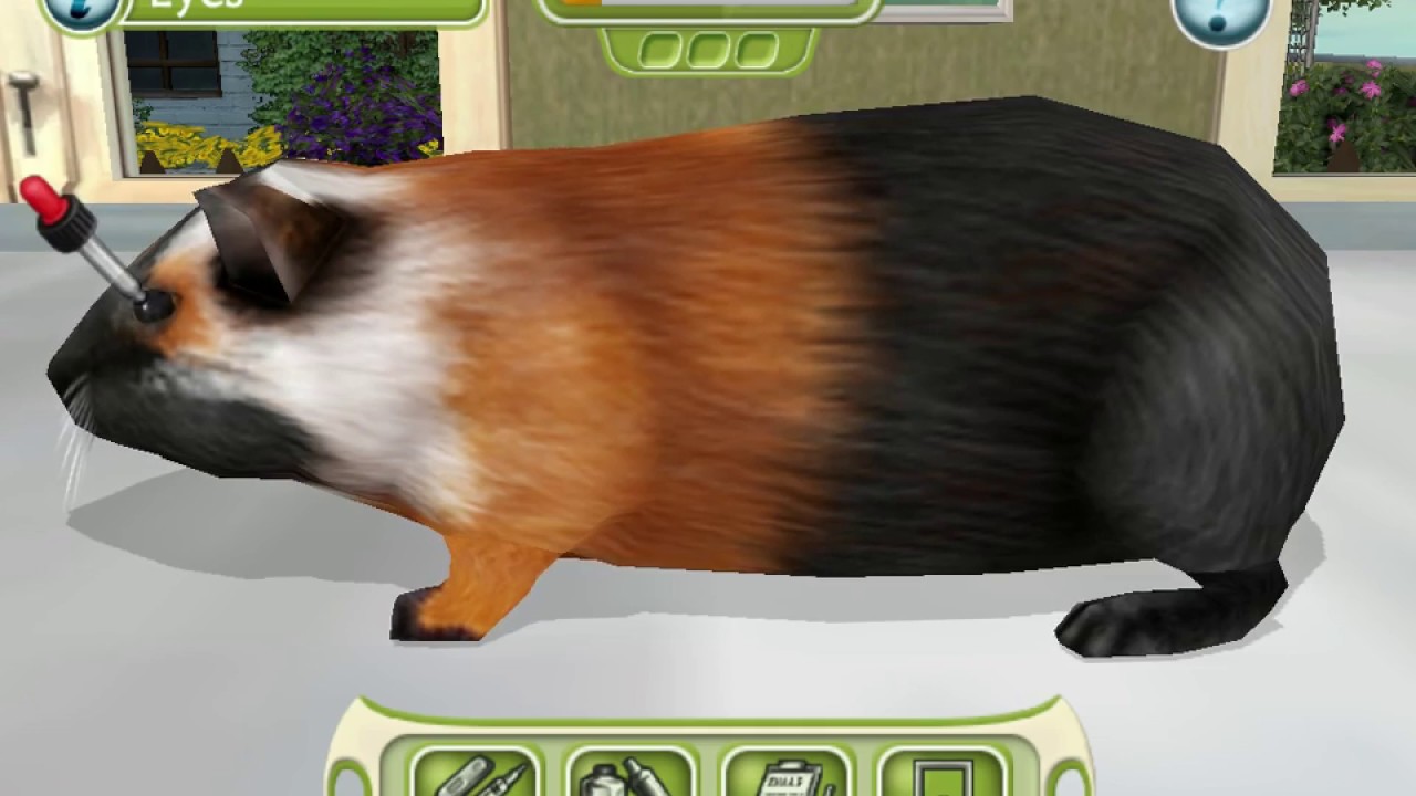 Opening the Small Animal House! MVP E2