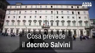 Che cosa prevede il decreto Salvini